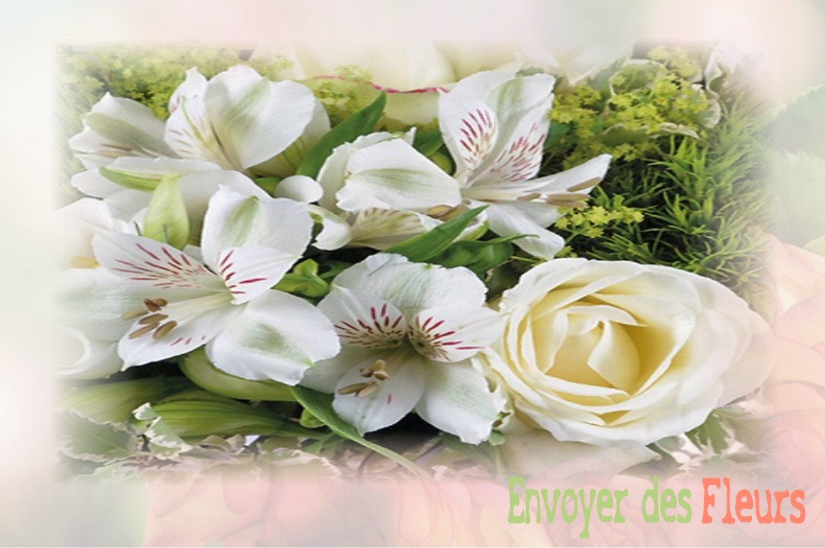 envoyer des fleurs à à BELMONT-D-AZERGUES